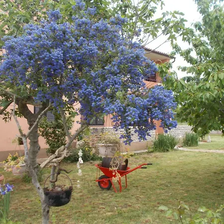 Apartman Ella Pula